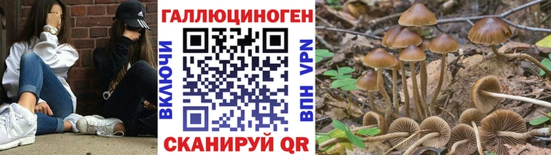 Галлюциногенные грибы ЛСД  как найти   Мещовск 